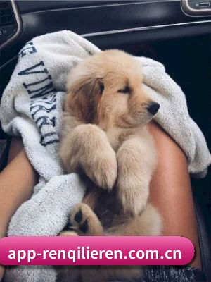 人妻猎人 APP